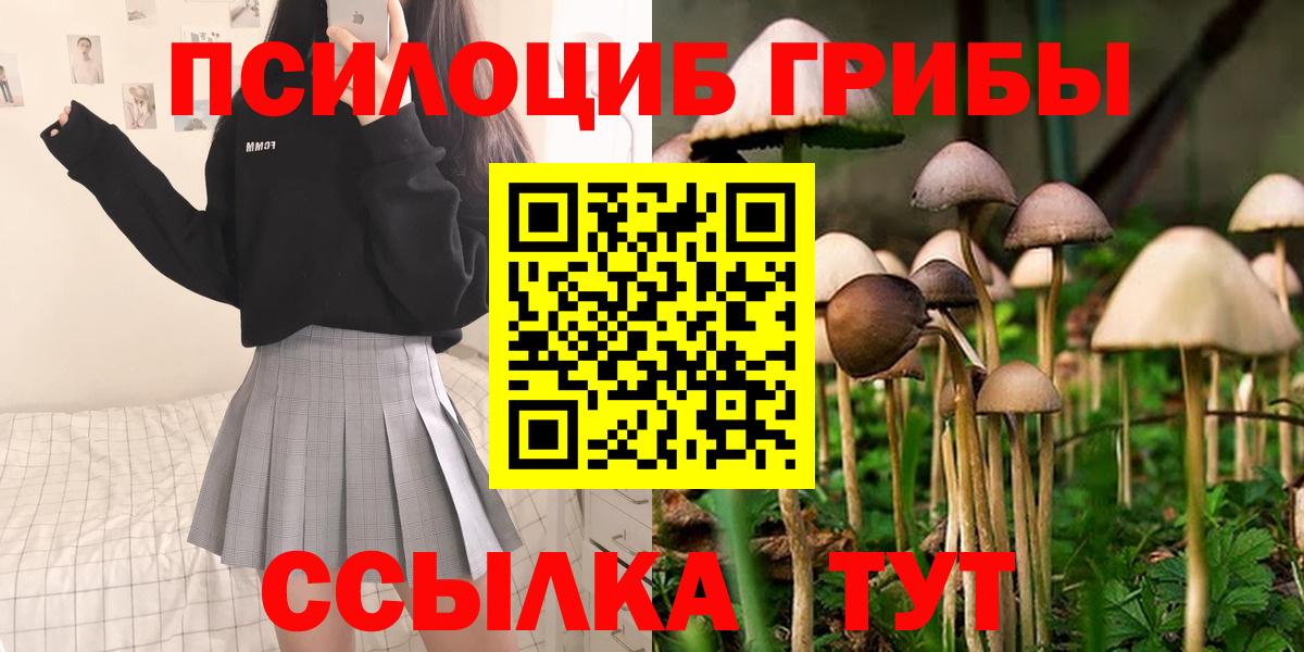 Псилоцибиновые грибы GOLDEN TEACHER  Вход с VPN  Гусь-Хрустальный  Псилоцибиновые грибы GOLDEN TEACHER 